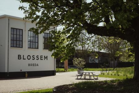 Blossem