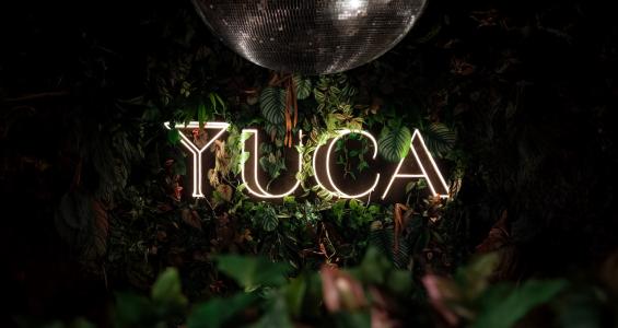 Yuca Nijmegen