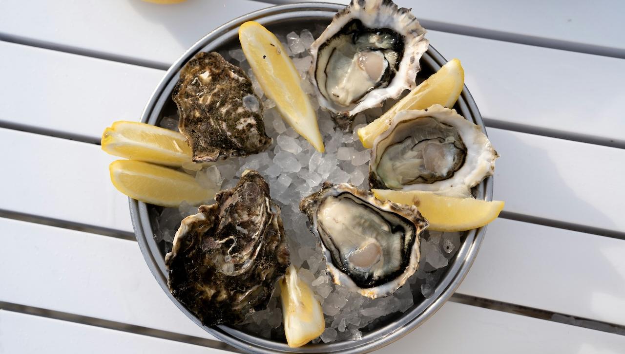 Vis Café Ed Gallery