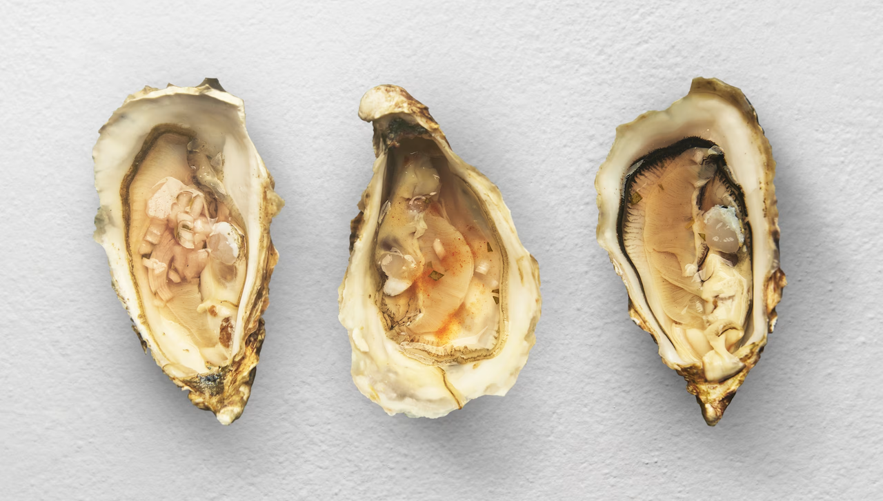 White Horse Oyster & Seafood Bar Gallery